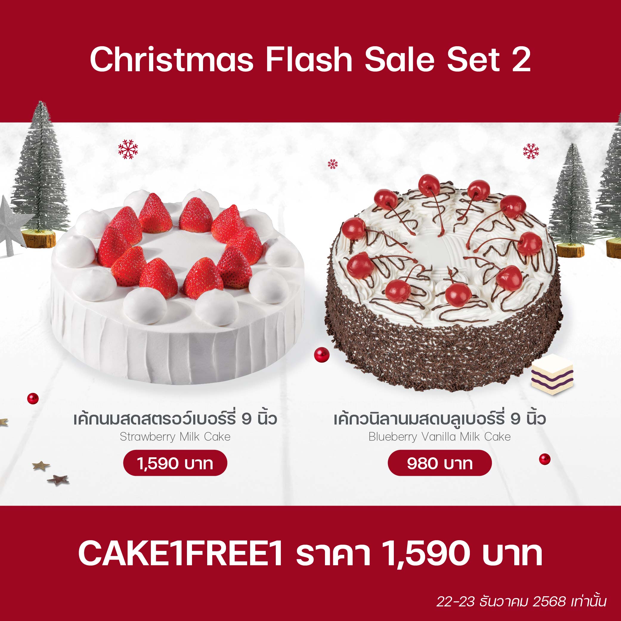 Christmas Flash Sale Set 2