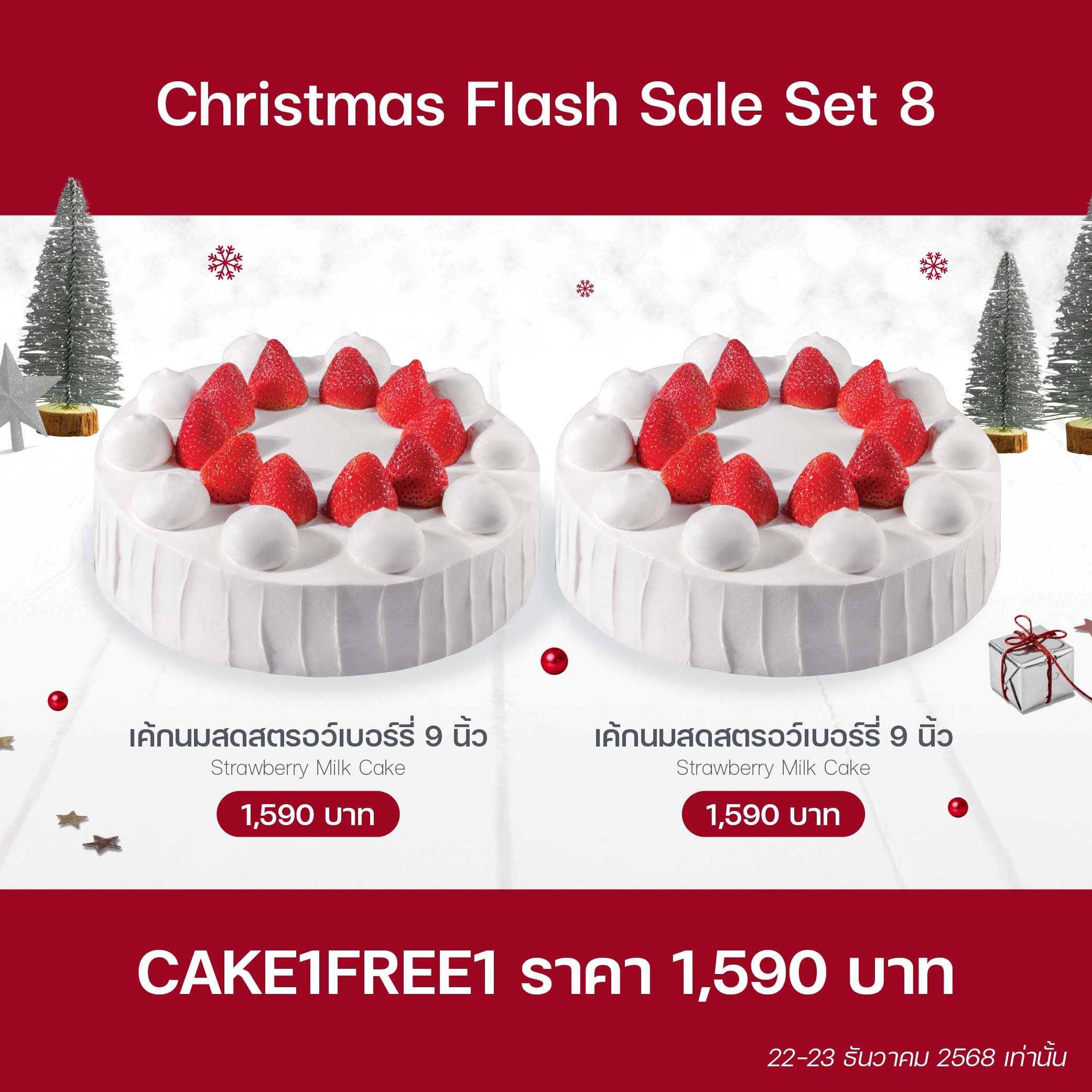 Christmas Flash Sale Set 8