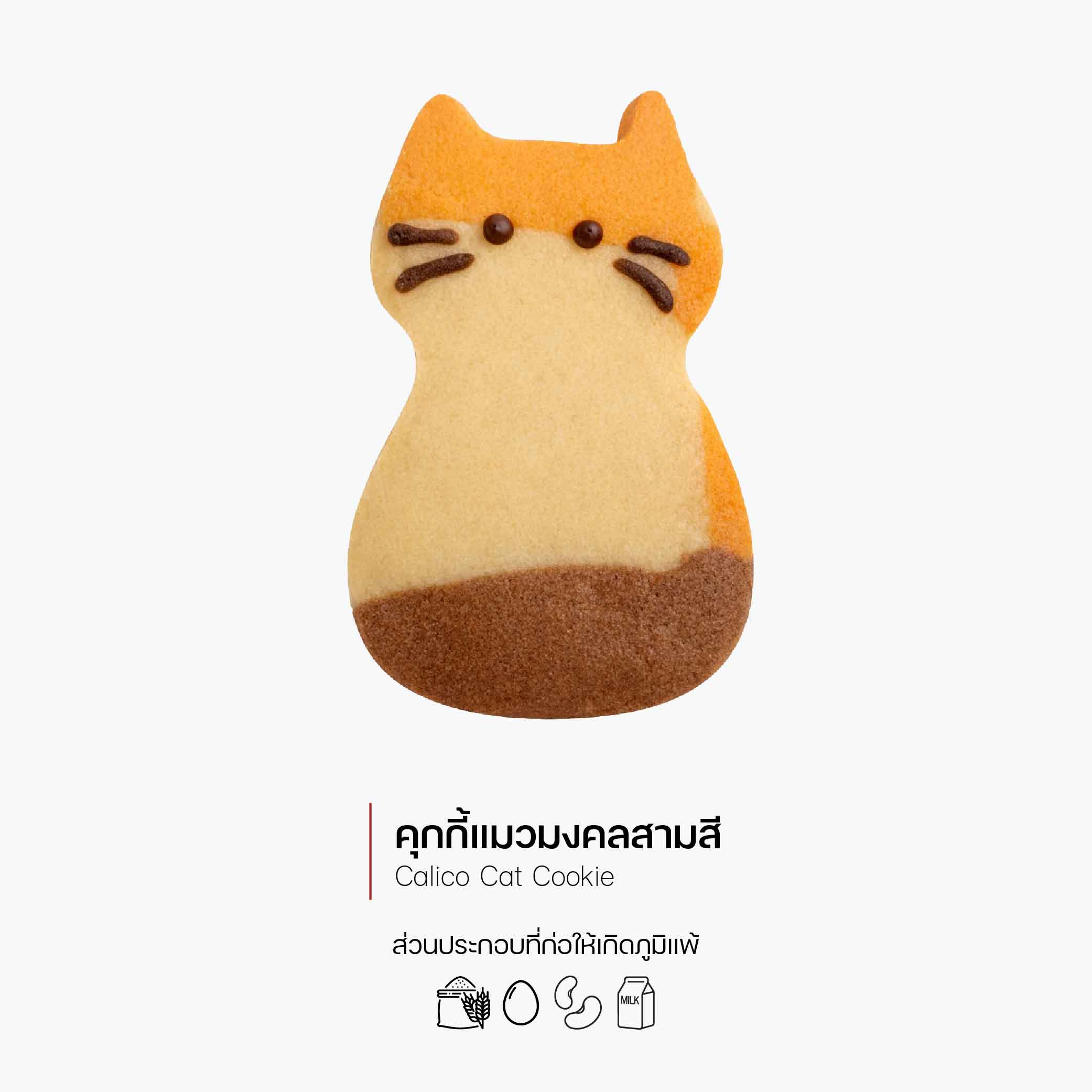 คุกกี้แมวมงคลสามสี (Calico Cat Cookie) (3082)