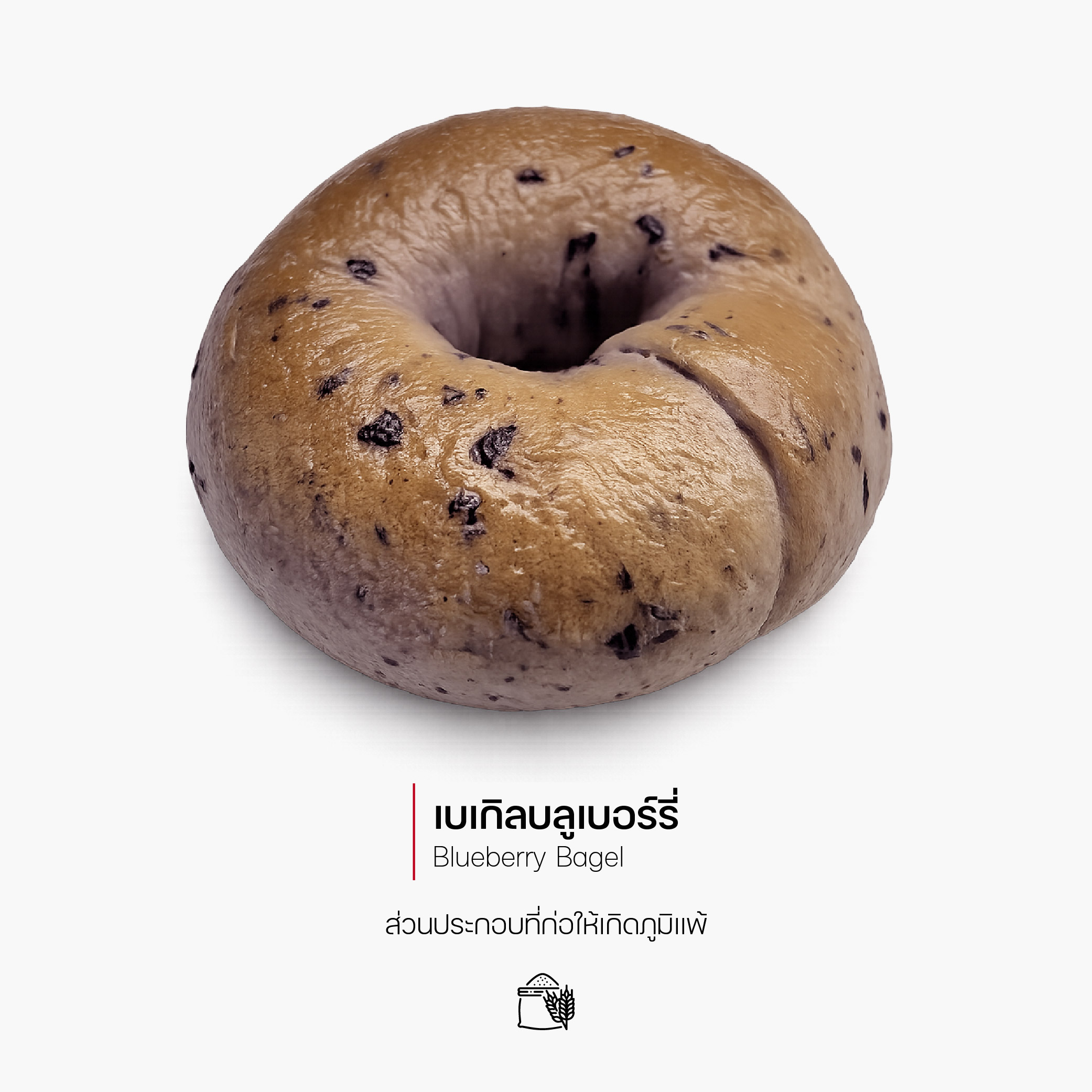 เบเกิลบลูเบอร์รี่ (Blueberry Bagel) (1189)