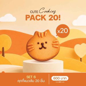 SET 6 คุกกี้แมวส้ม (3086) 20 ชิ้น